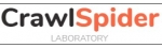 CrawlSpider | Pittsburgh SEO &amp; Internet Market