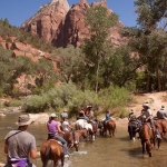 Grand Canyon Donkey Rides