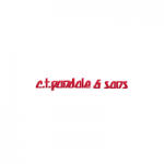 CT Pundole & Sons Pvt. Ltd.