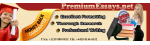 Premium essays
