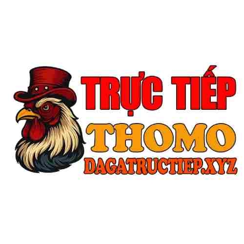 ĐÁ GÀ TRỰC TIẾP XYZ