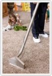 Friendswood TX Carpet Cleaning