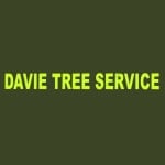 Davie Tree Service