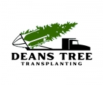 Deans Tree Transplanting