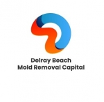 Delray Beach Mold dremoval Capital