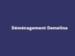 Déménagement Demelina