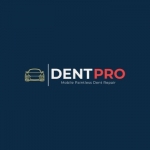 Dent Pro