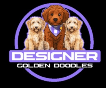 Designer Golden Doodle Puppies