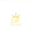 Devine showroom