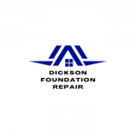 https://dicksonfoundationrepair.com