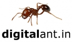 Digital Ant
