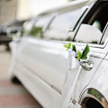 Oshawa limos