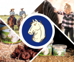 dimpleshorsetreats