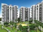 Direct Property Landlord