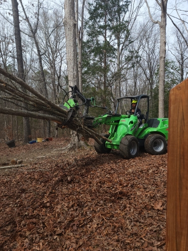 Dixon Trees LLC