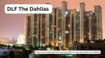dlfthedhalias