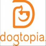 Dogtopia of New Rochelle