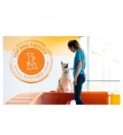Dogtopia of Orlando - Longwood
