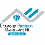 DPMNI Ltd