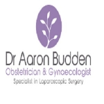 Dr Aaron Budden Specialist Obstetrician and Gynaec