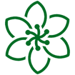 Ducksoupliving's Link Centre