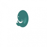 Dugong Global Services