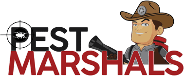 Pest Marshals of Asheville & WNC