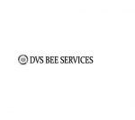 DVS BEE Services