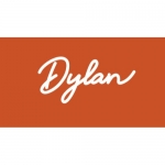 Dylan The Consultant