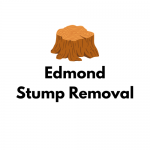 Edmond Stump Removal