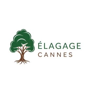 Élagage Abattage Cannes - Taille ＆ Suppression d'Arbres