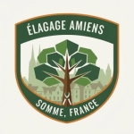Élagage Amiens – Taille, Abattage ＆ Soins des Arbres