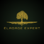 Élagage Expert