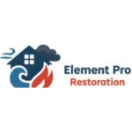 Element Pro Restoration