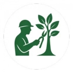 Élagage Cherbourg – Arboriste & Abattage d’Arbres