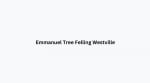 Emmanuel Tree Felling Westville