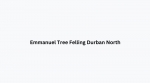 Emmanuel Tree Felling Durban North