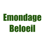 Emondage Beloeil