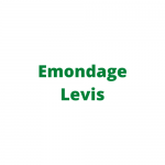 Emondage Levis