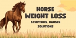 Equinety