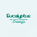Eucalyptus Tree Service Landscaping & Design
