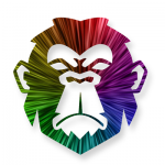 Evolve Digital Media Ltd