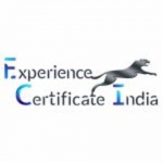 Experience Certificate India