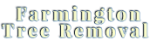Farmington Tree Removal