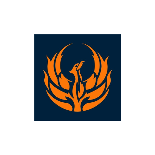 Fenix Insight