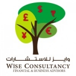 WISE Consultancy
