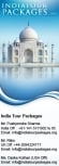  dubaivisa Pvt.ltd