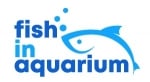 fishinaquarium