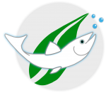 Fishstainable