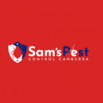 Flea Infestation Treatment Canberra
